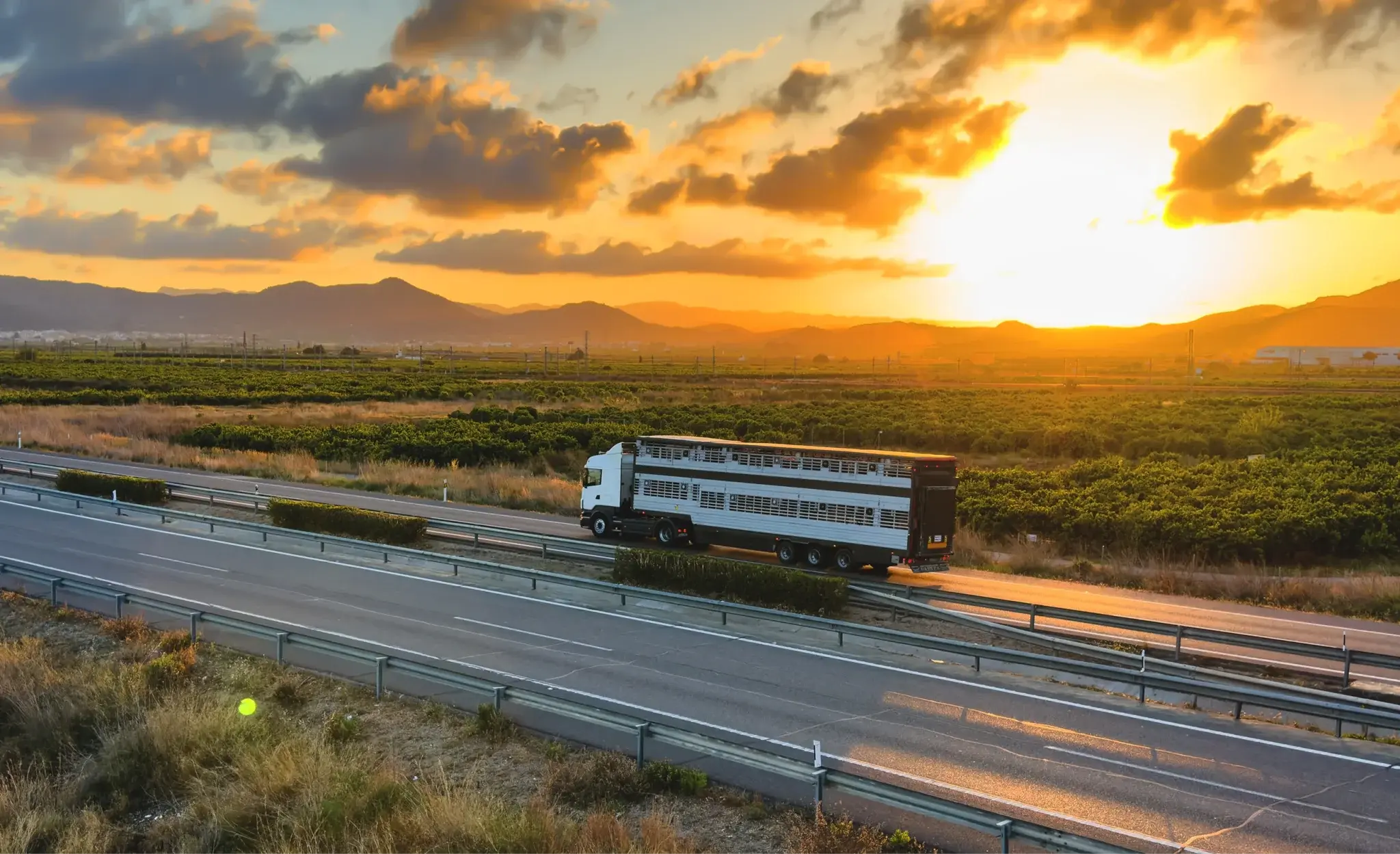 Transport truck on highway